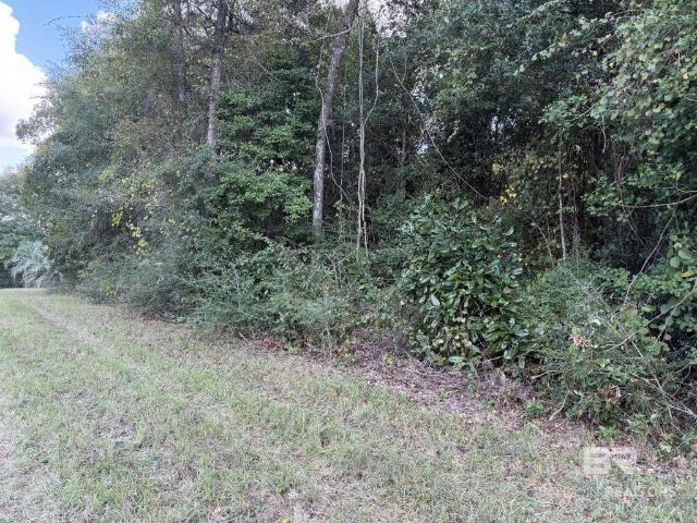Land for sale in Flomaton, Escambia County