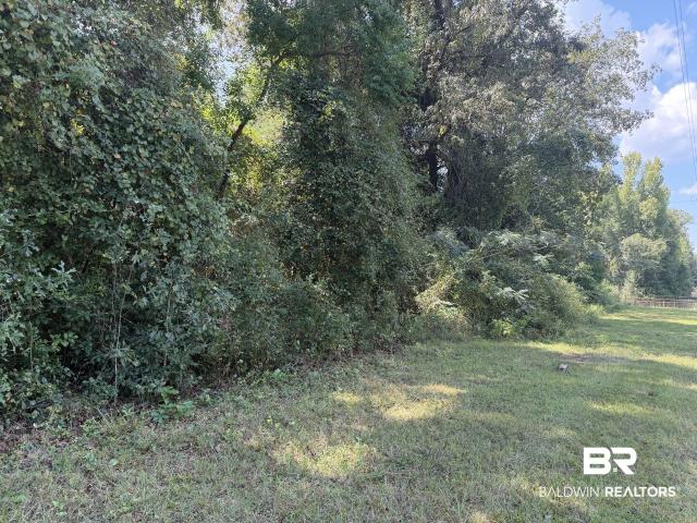 Land for sale in Flomaton, Escambia County