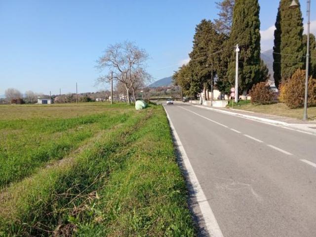 Terreno in vendita a Alife, Campania