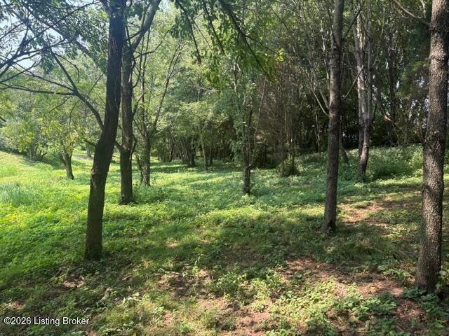 Land for sale in Nelson, Kentucky