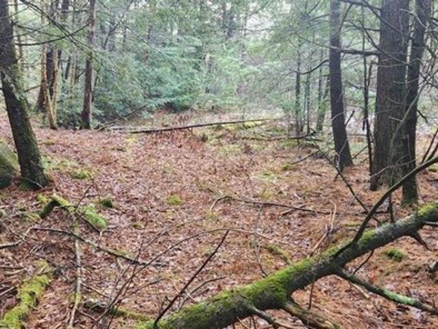 Land for sale in Fairfield, Vermont