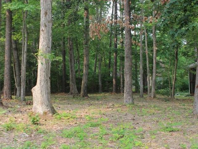 Land for sale in Virginia