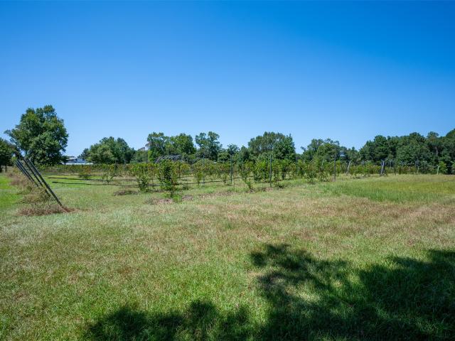 Farm for sale in Fred, Texas