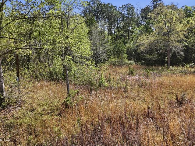 Property for sale in Picayune, Mississippi