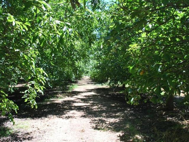 Land for sale in Stockton, California