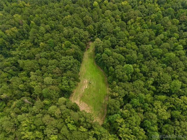 Land for sale in Union Springs, Bullock County