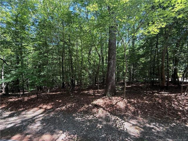 Land for sale in Sanford, North Carolina