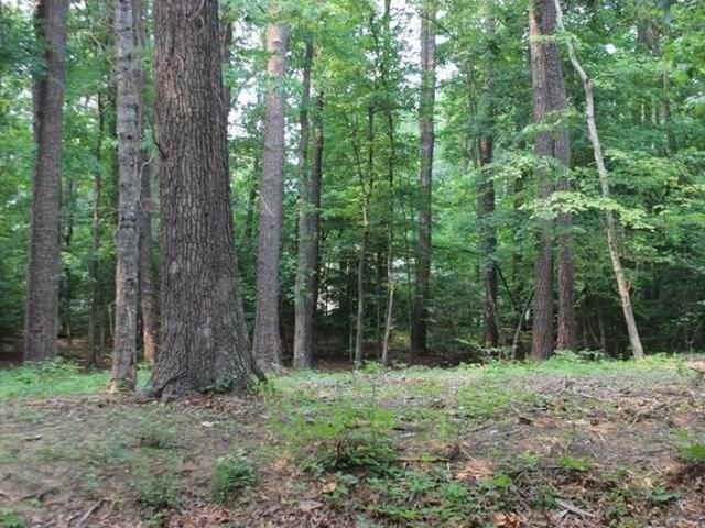 Land for sale in Virginia