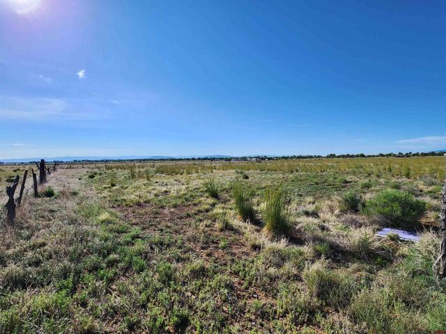 Land for sale in Conejos, Colorado