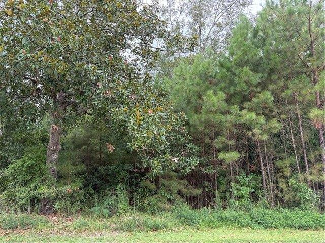 Land for sale in Pearl River, Louisiana