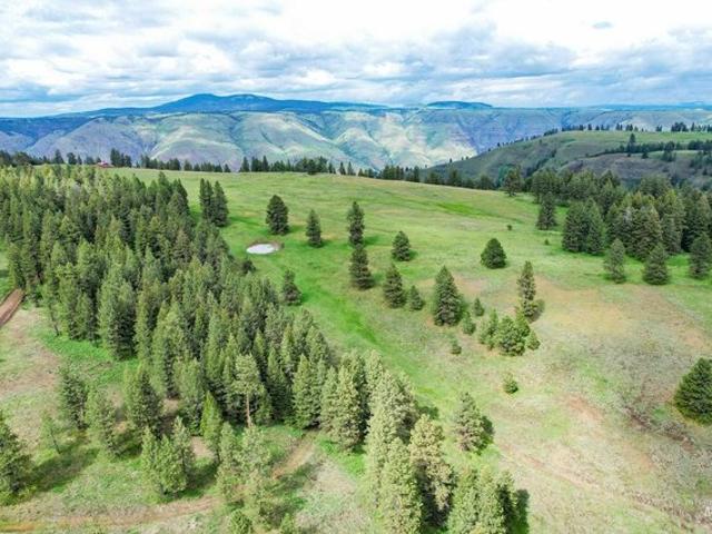 Farm for sale in Cottonwood, Idaho