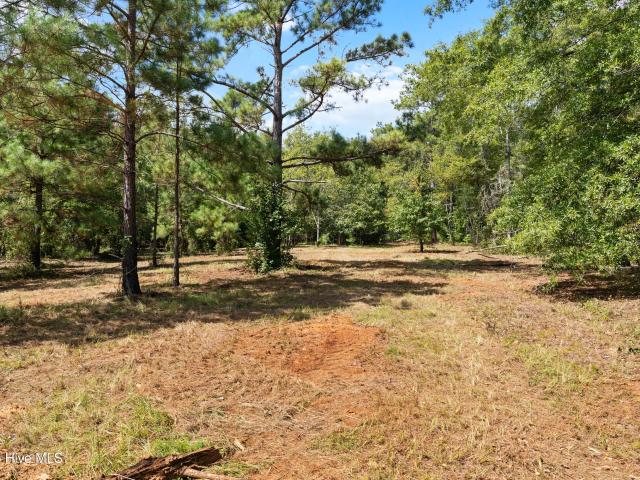 Land for sale in Hephzibah, Burke County