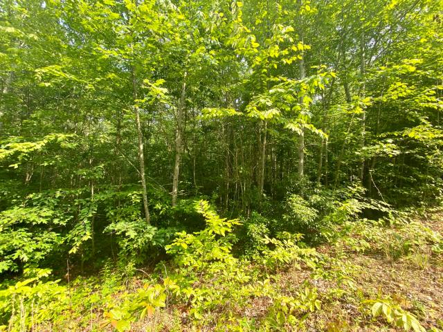 Land for sale in Kentucky