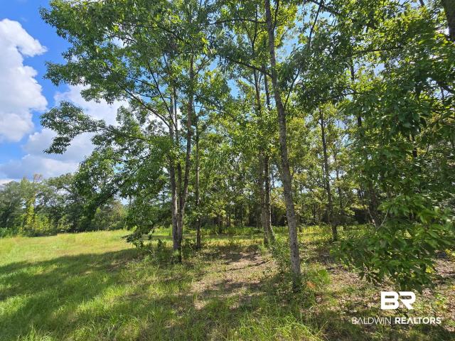 House for sale in Castleberry, Conecuh County