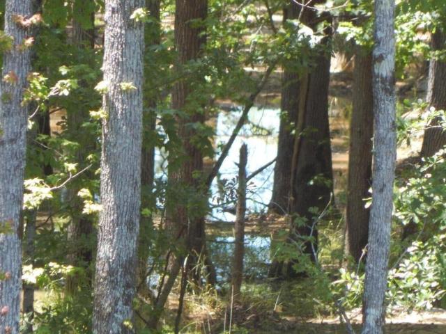 Land for sale in Grenada, Mississippi