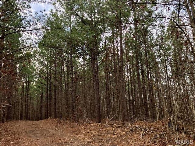 Land for sale in Fredericktown, Missouri