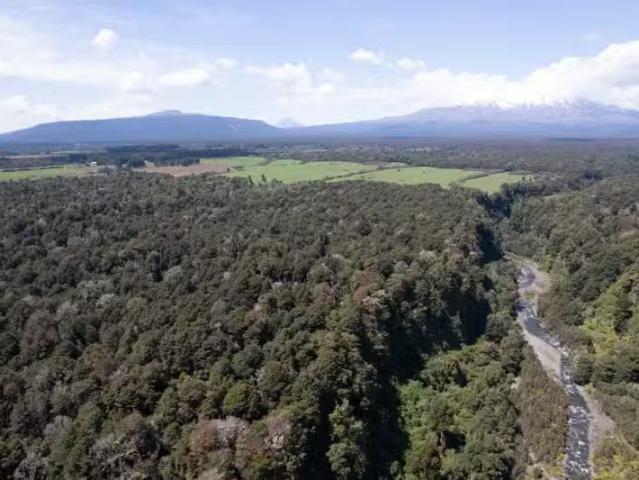 House for sale in Waikato