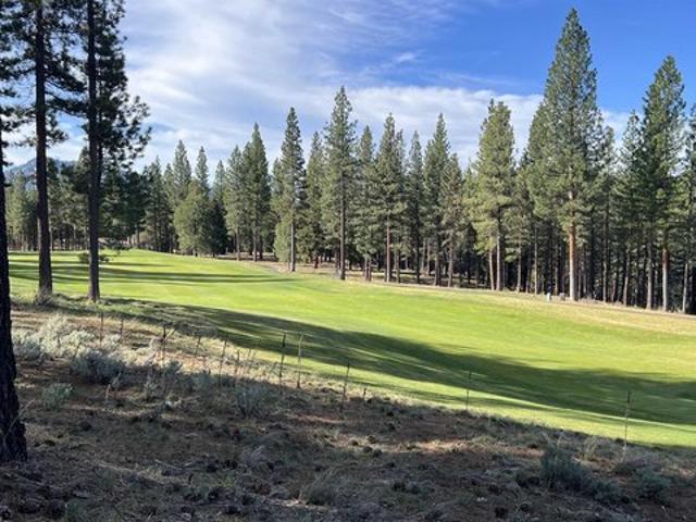 Land for sale in Portola, California