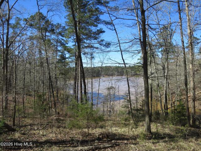 Land for sale in South Carolina