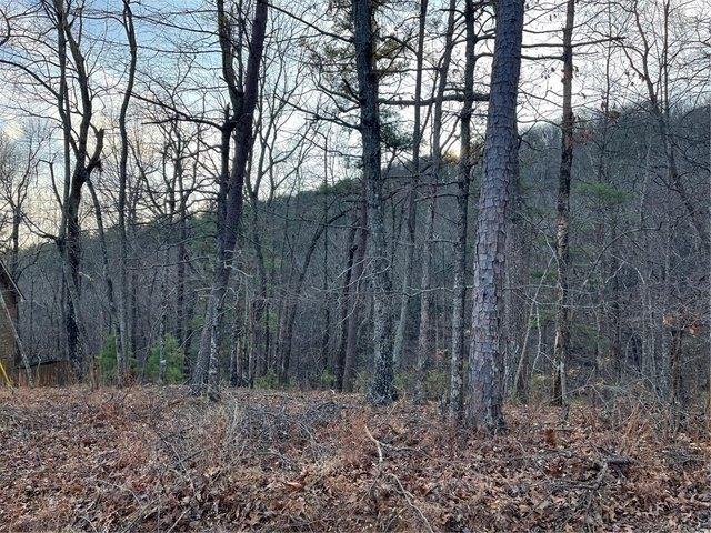 Land for sale in Pickens, Georgia