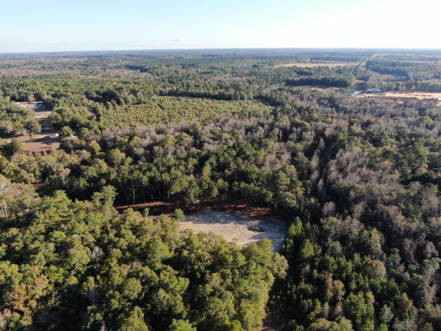 Land for sale in Walton, Florida