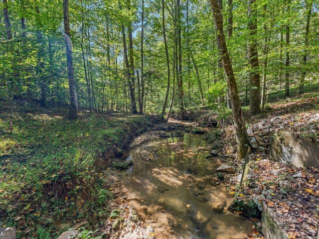 House for sale in Demorest, Georgia