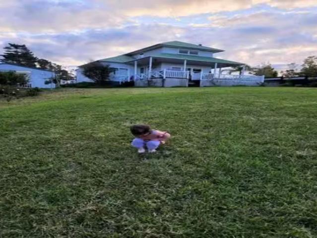 House for rent in Kawau Island