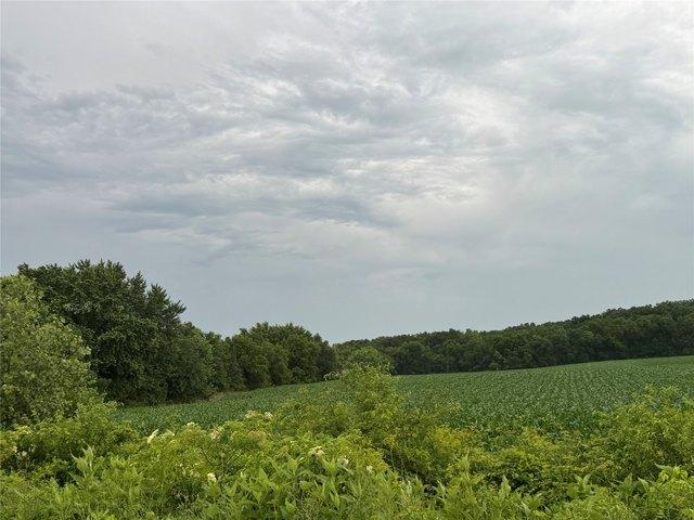 Land for sale in Grand River, Iowa