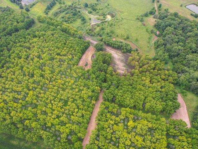 Farm for sale in Bureau, Illinois
