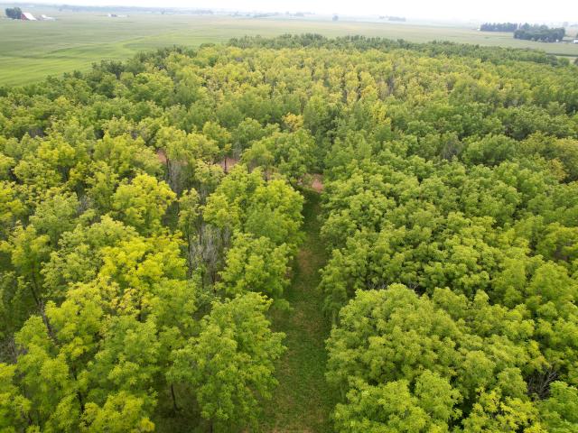 Farm for sale in Bureau, Illinois