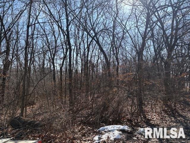 Land for sale in Chillicothe, Peoria County