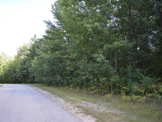 Land for sale in Michigan