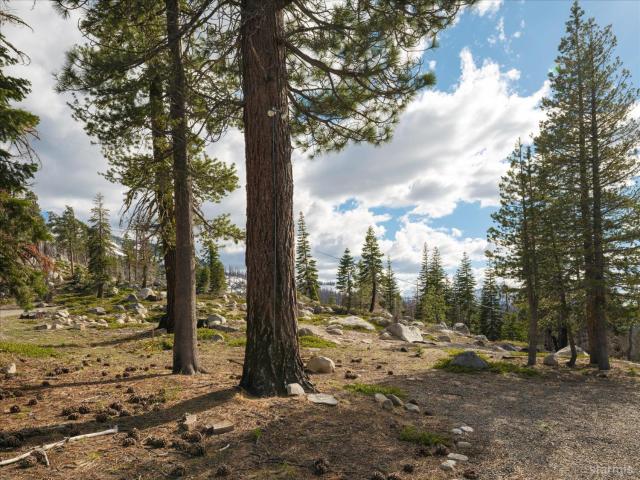 Land for sale in California