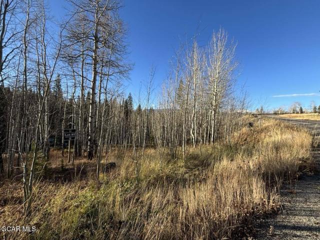 Land for sale in Fraser, Colorado