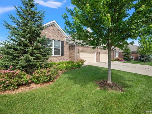 Property for rent in Michigan