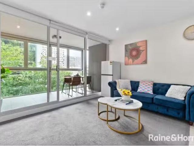 House for rent in Hutt Street