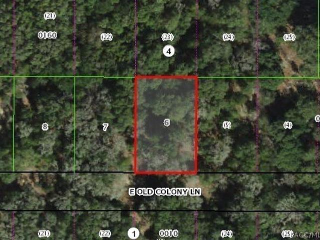 Land for sale in Inverness, Florida