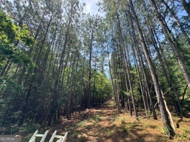 Land for sale in Elbert, Georgia