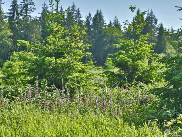 Land for sale in Freeland, Washington