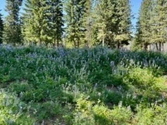 Land for sale in Leavenworth, Washington