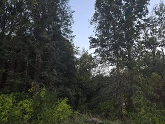 Land for sale in Benton Harbor, Berrien County