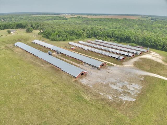 Land for sale in Geneva, Alabama