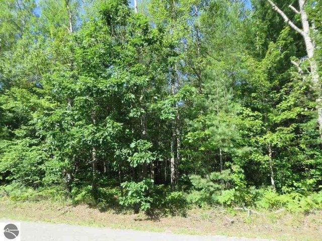 Land for sale in Kalkaska, Michigan