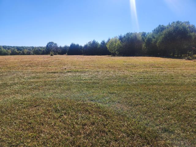 House for sale in Fordland, Webster County