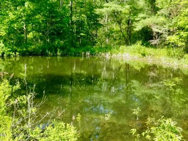 Land for sale in Susquehanna