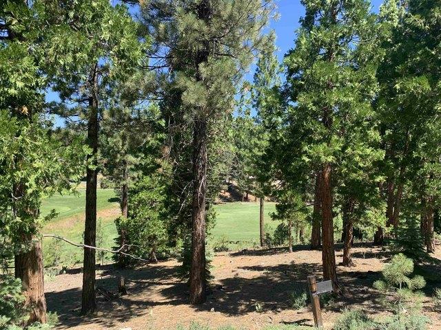 Land for sale in Portola, California