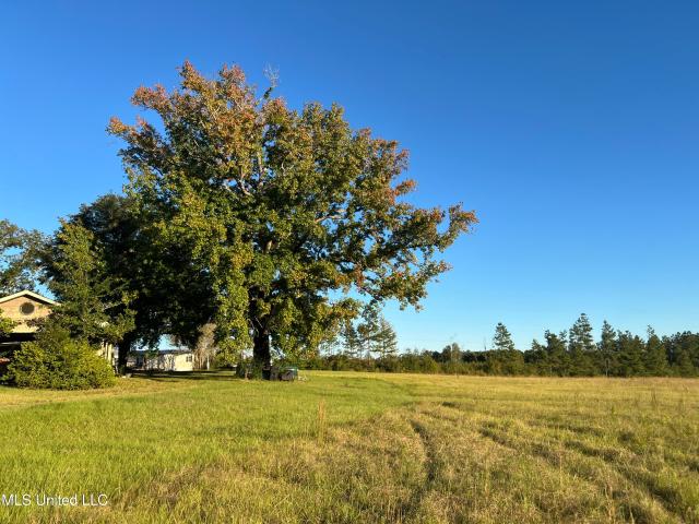 House for sale in Liberty, Mississippi