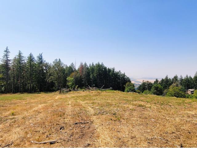 Land for sale in Oregonia