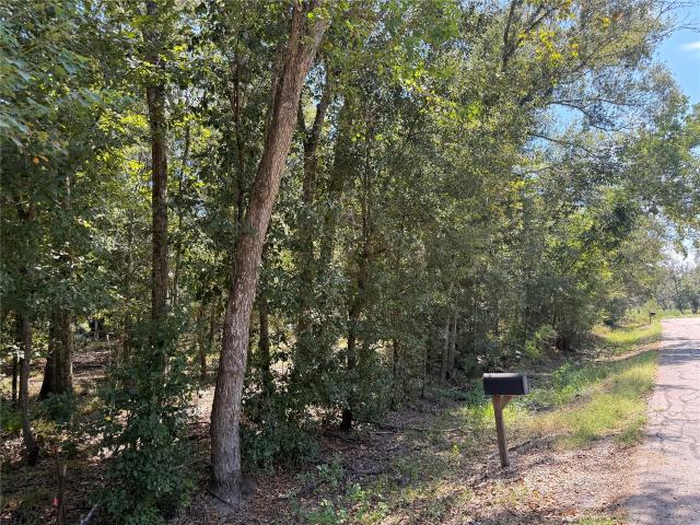 Land for sale in Damon, Brazoria County
