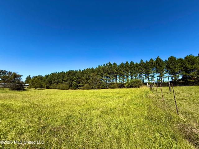 Land for sale in Morton, Rankin County